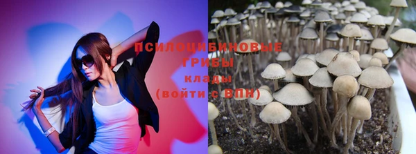 синтетический гашиш Вязьма