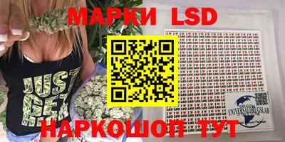 индика Обнинск
