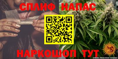 индика Обнинск