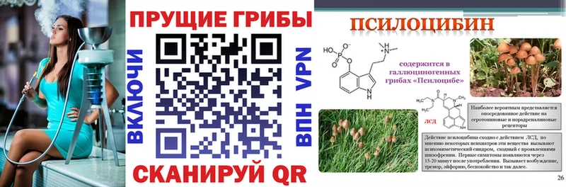 Псилоцибиновые грибы Cubensis  Копейск 